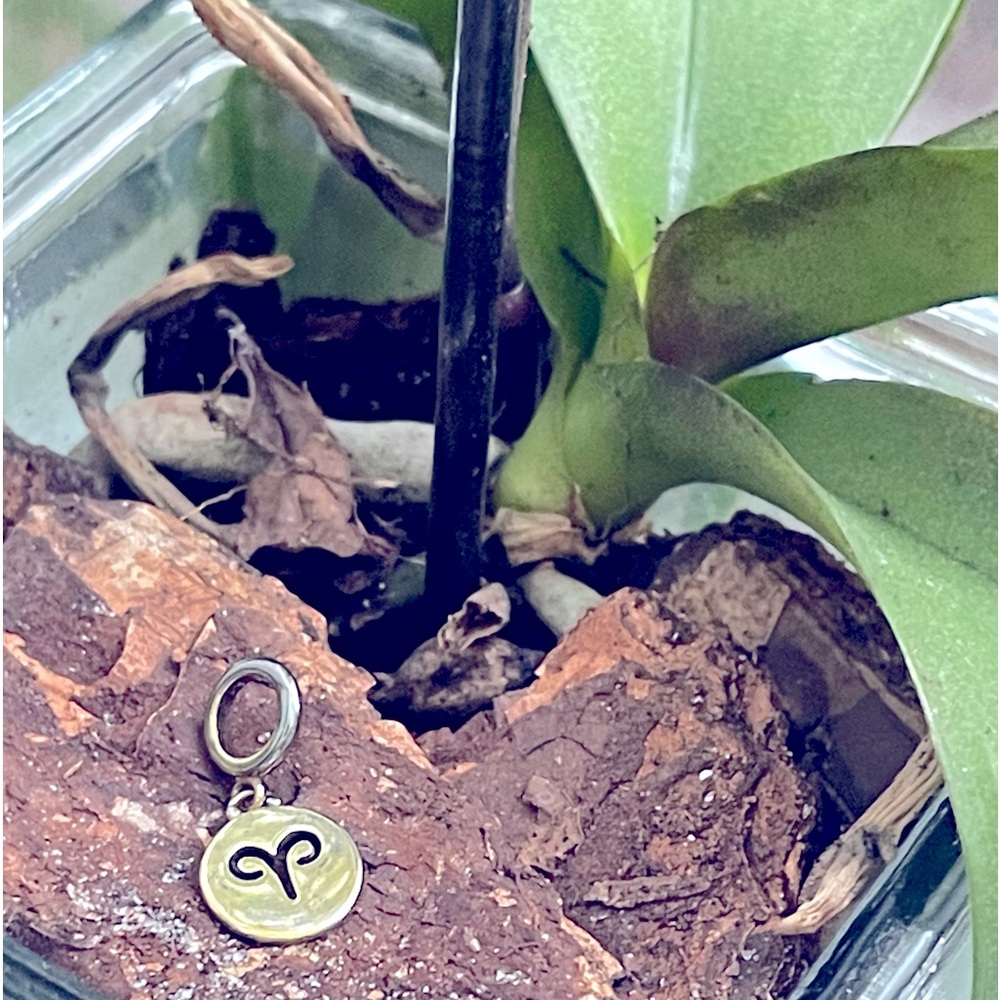 Aries dangling charm in a box.